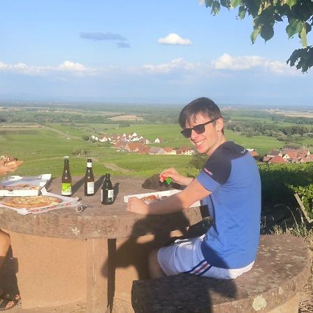 Le P'Tit Coin De Chez Nous Villa Dambach Kültér fotó