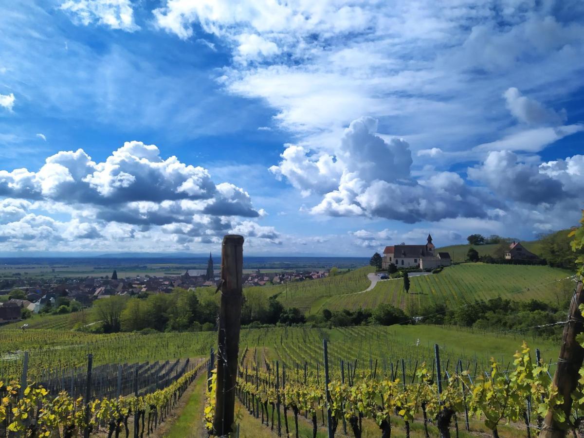 Le P'Tit Coin De Chez Nous Villa Dambach Kültér fotó