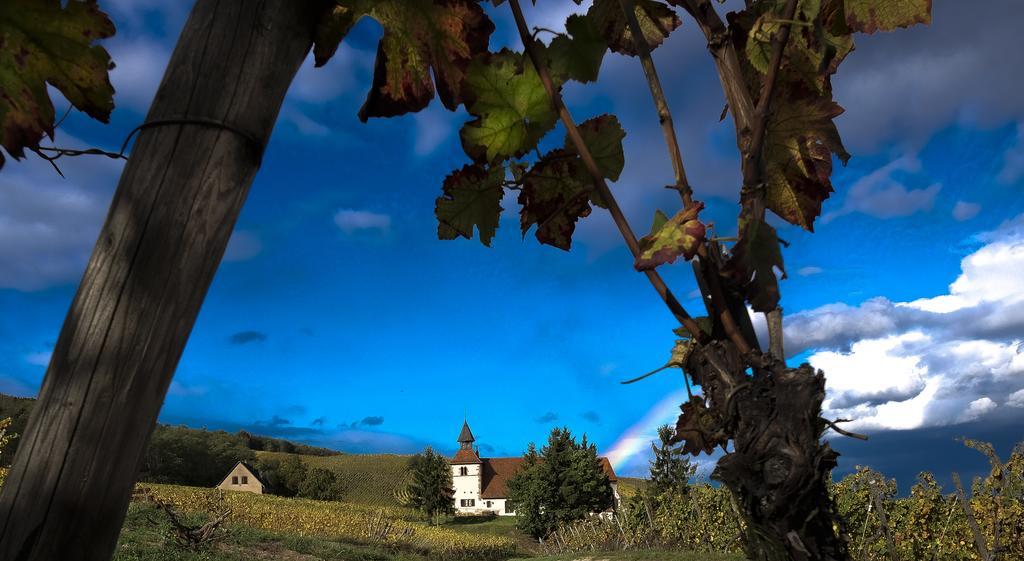 Le P'Tit Coin De Chez Nous Villa Dambach Kültér fotó