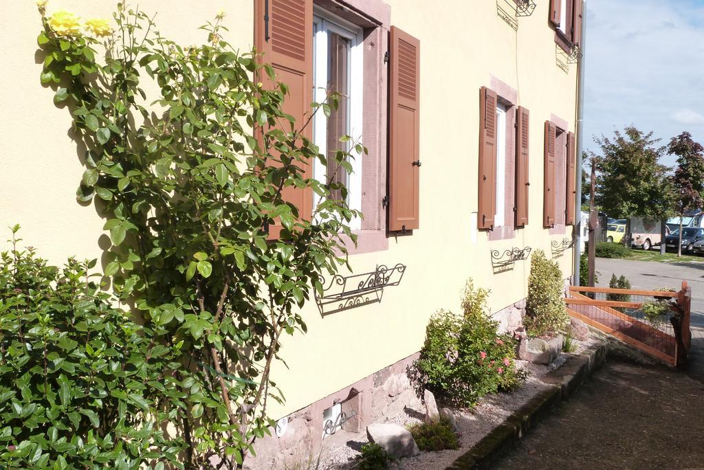 Le P'Tit Coin De Chez Nous Villa Dambach Kültér fotó