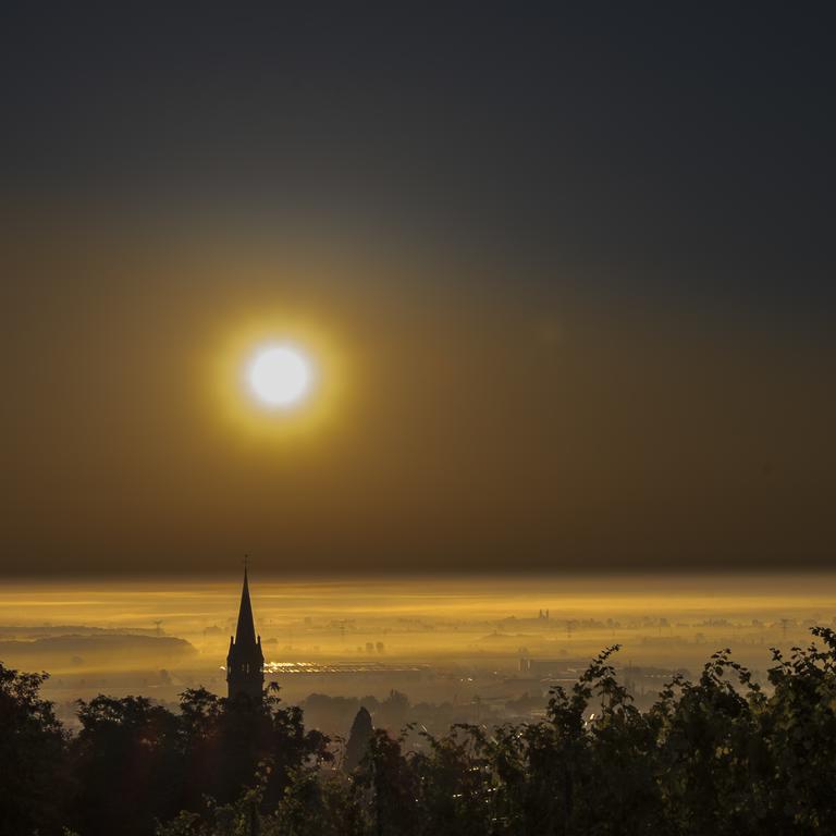 Le P'Tit Coin De Chez Nous Villa Dambach Kültér fotó
