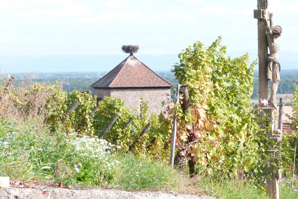 Le P'Tit Coin De Chez Nous Villa Dambach Kültér fotó