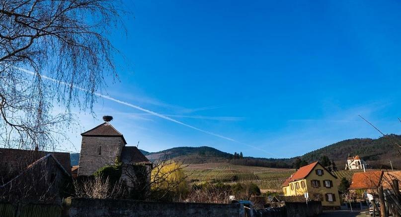 Le P'Tit Coin De Chez Nous Villa Dambach Kültér fotó